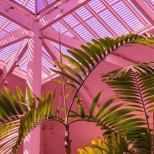 Meet your Posher, Madigan